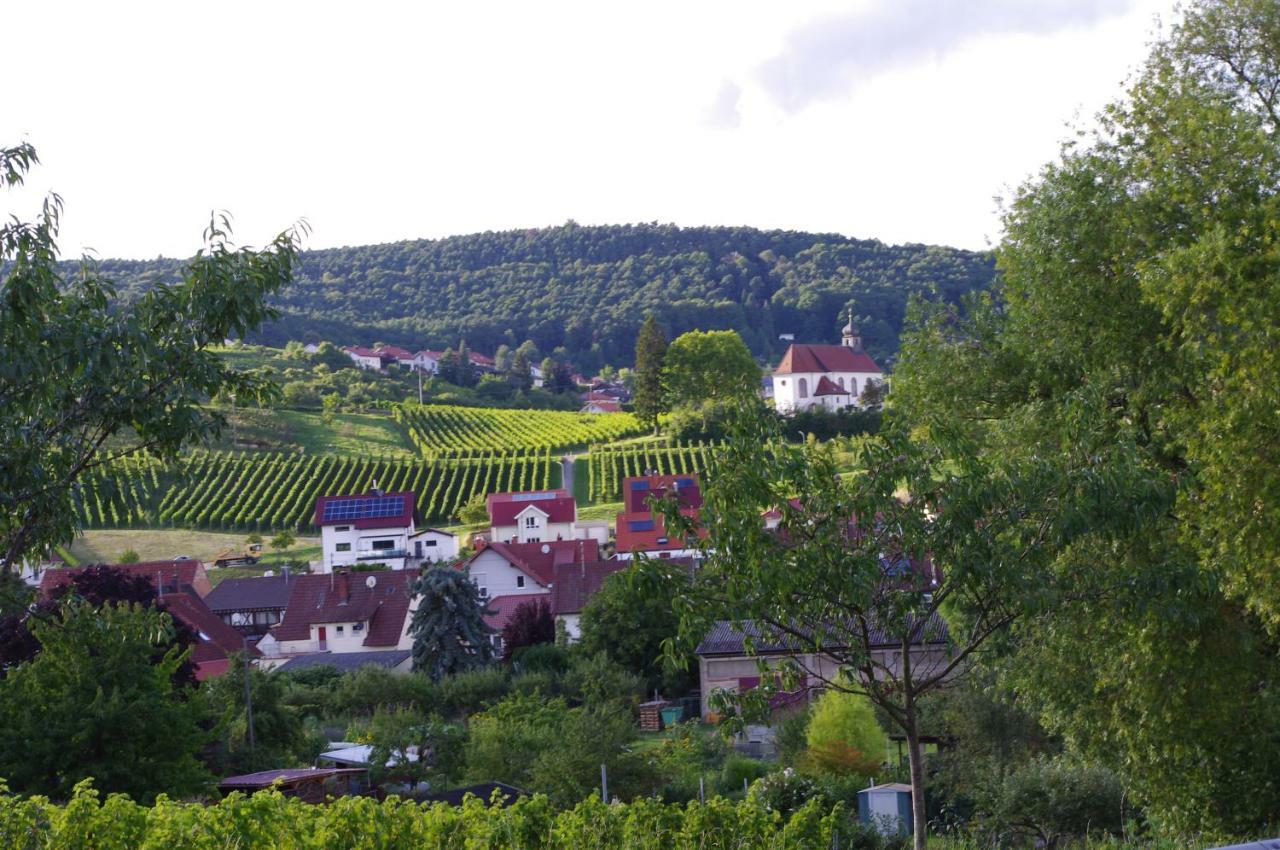 Ferienwohnung Talblick 2B Bad Bergzabern Exteriér fotografie